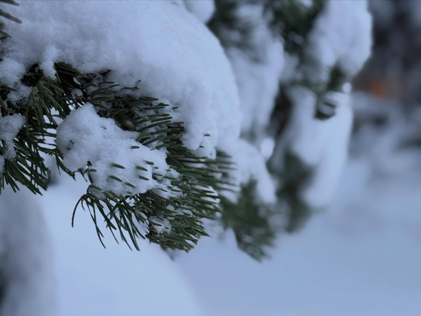 Snow 13